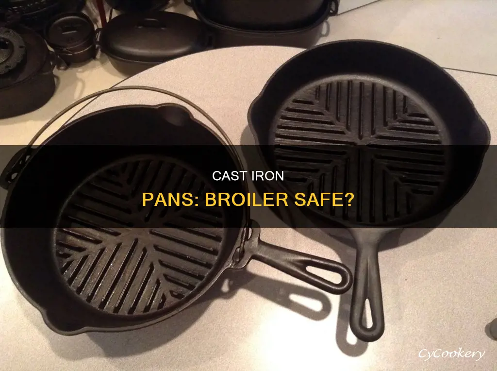 are cast iron pans broiler safe