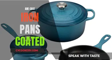 The Truth About Cast Iron: Coated or Not?