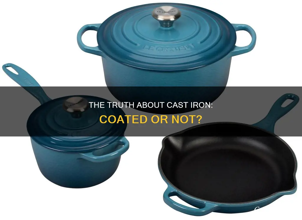 are cast iron pans coated