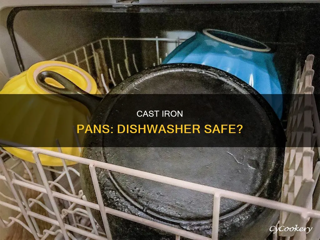 are cast iron pans dishwasher safe