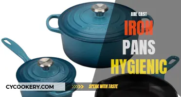 Cast Iron Pans: A Healthy and Hygienic Cooking Option