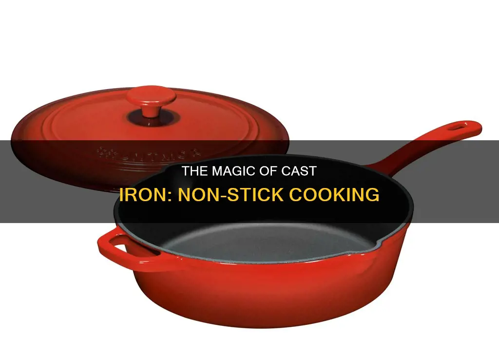 are cast iron pans non stick