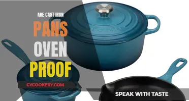 Cast Iron Pans: Oven-Proof Essentials