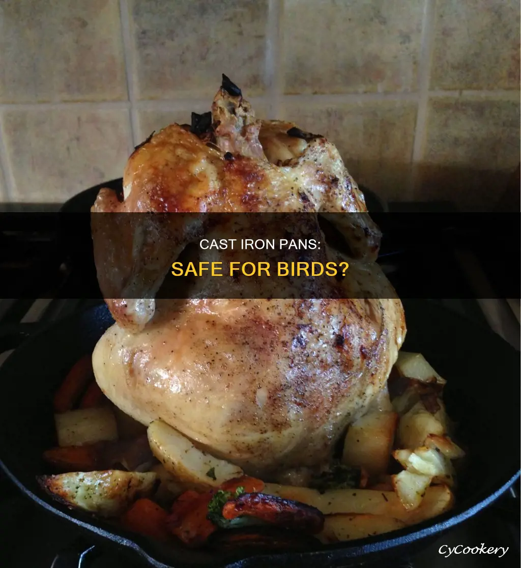 are cast iron pans safe for birds