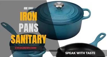 Cast Iron Pans: A Sanitary Kitchen Staple?