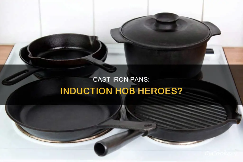 are cast iron pans suitable for induction hobs