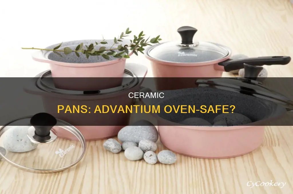 are ceramic baking pans safe for advantium oven