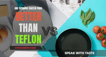 Ceramic vs Teflon: Which Non-Stick Pan is Superior?