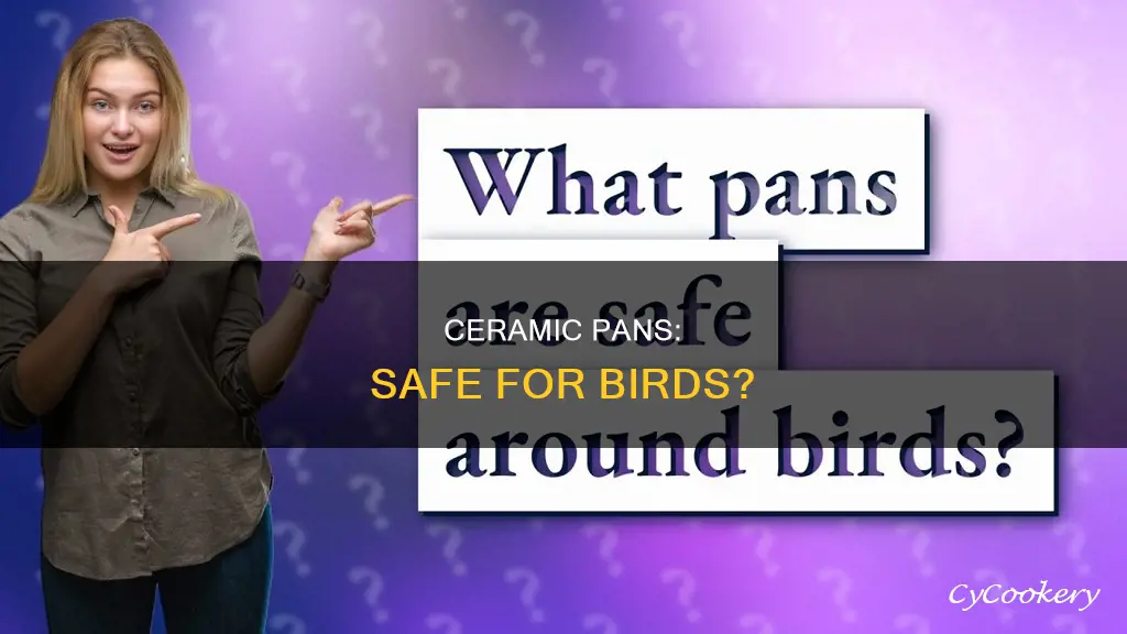 are ceramic coated pans safe for birds