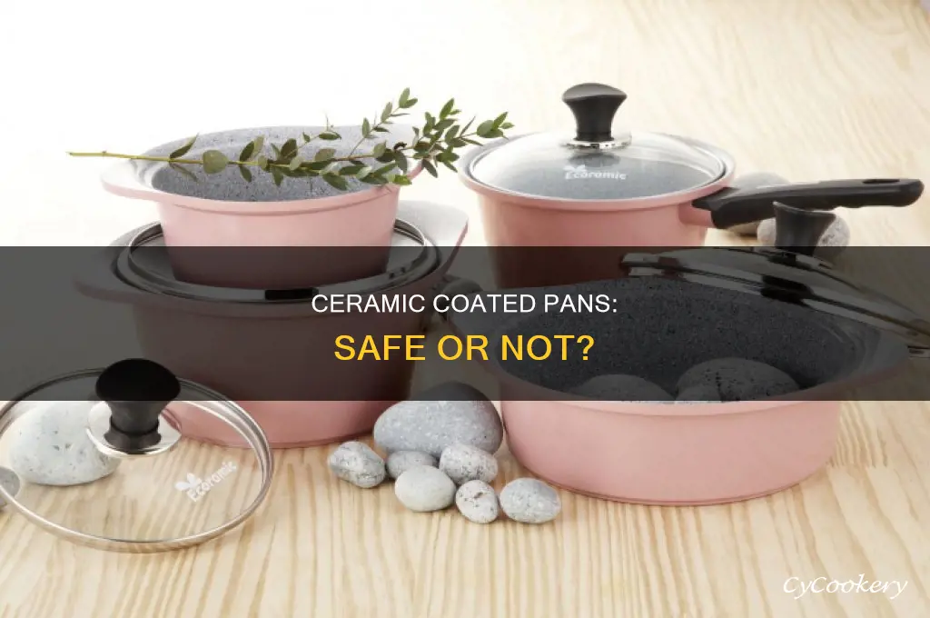 are ceramic coated pans ven safe