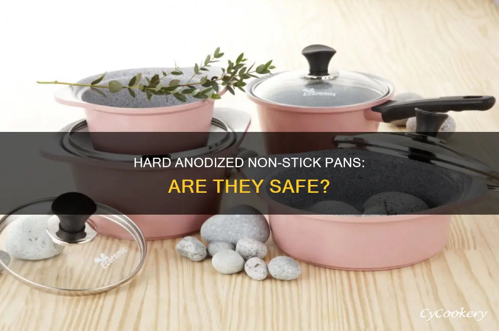 are ceramic hard anodized non stick pans safe