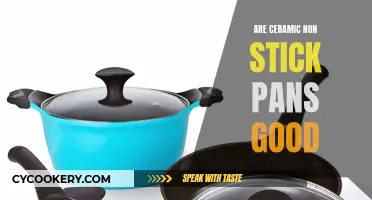 Ceramic Non-Stick Pans: Pros and Cons