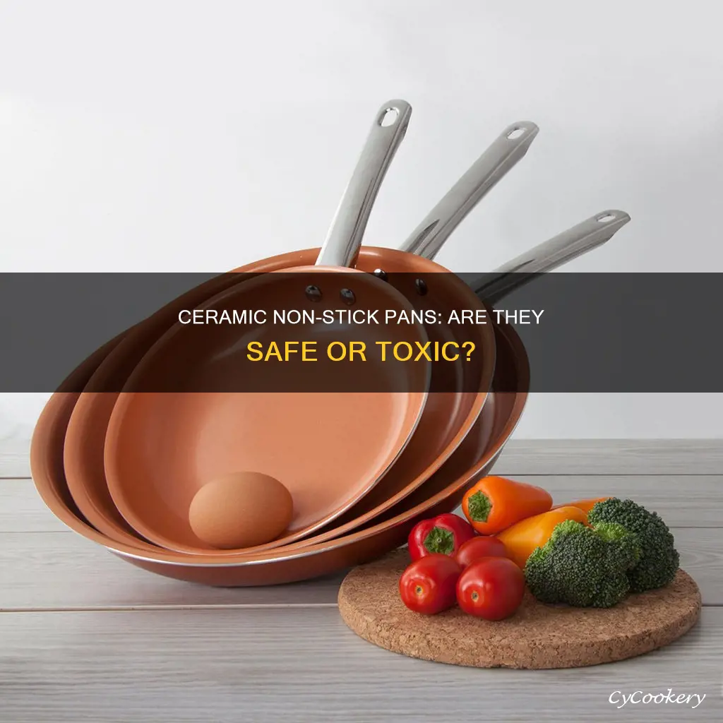 are ceramic non stick pans toxic