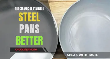 Steel vs Ceramic: Battle of the Pans