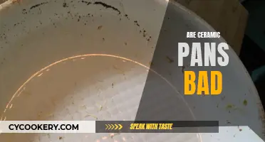 Ceramic Pans: Healthy Cooking or Health Hazard?