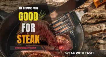 Ceramic Pans for Steak: Good or Bad Idea?
