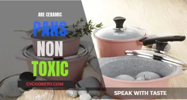 Ceramic Pans: Are They Safe or Toxic?