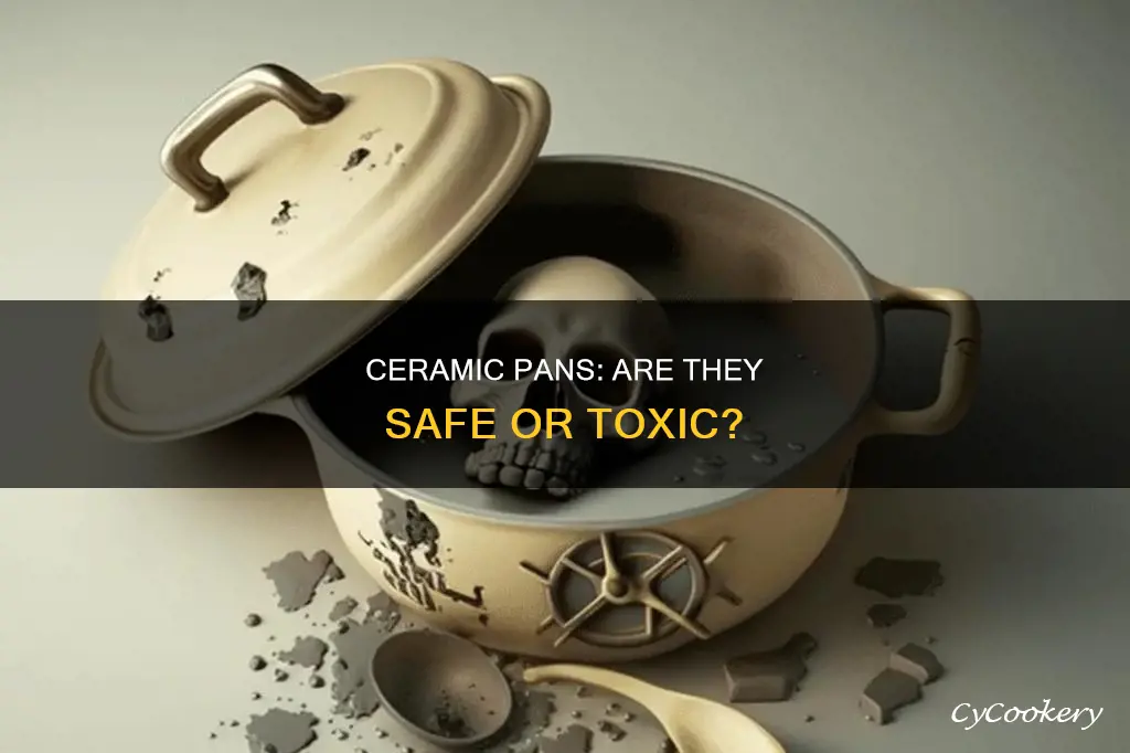 are ceramic pans non toxic