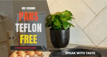 Ceramic Pans: Teflon-Free and Non-Stick?