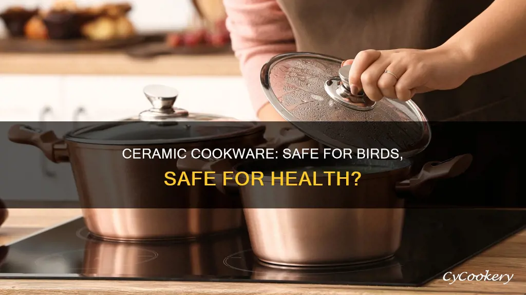 are ceramic pans toxic to birds