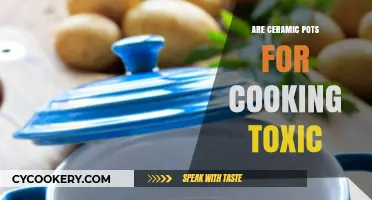 Ceramic Pots: Safe or Toxic for Cooking?