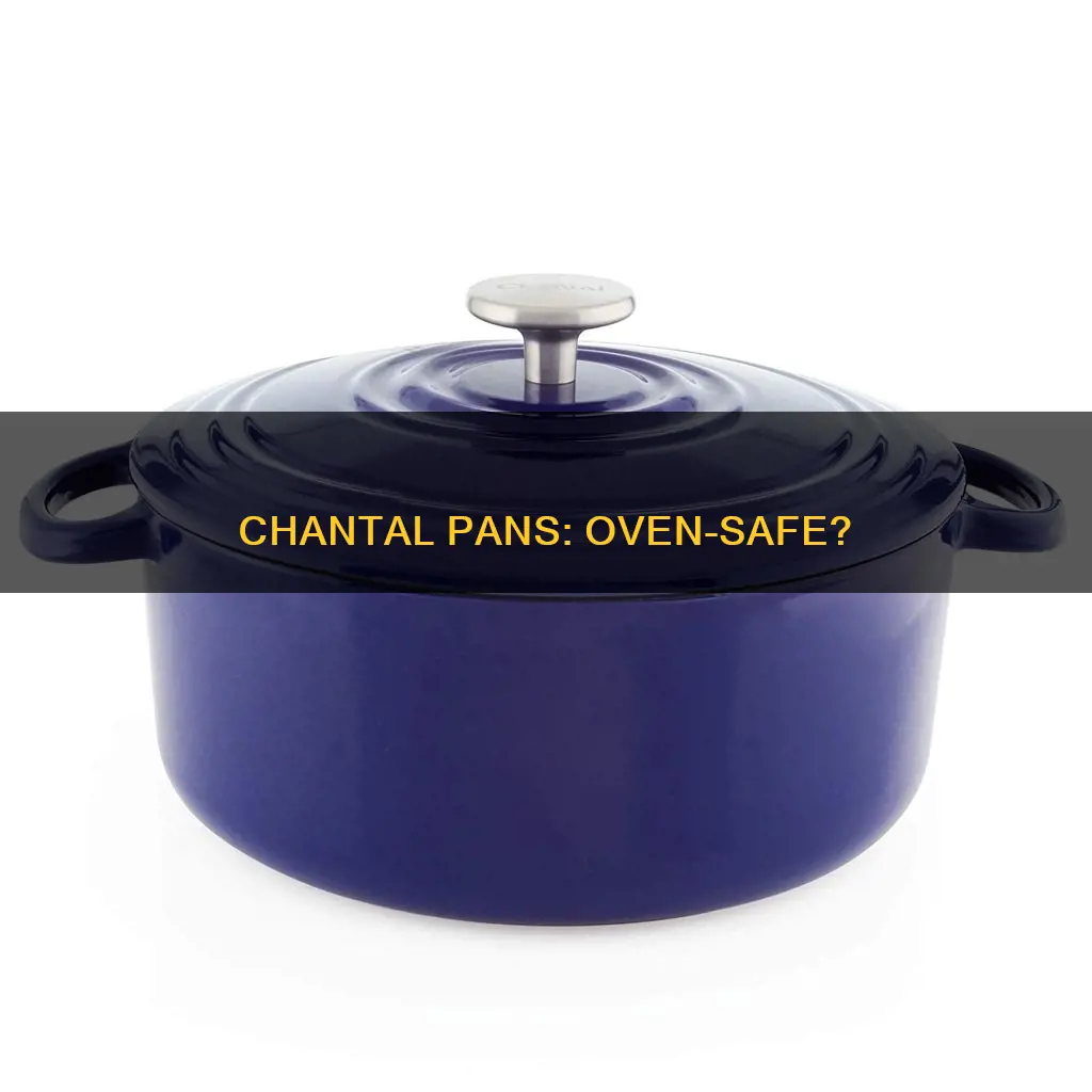 are chantal pans oven safe