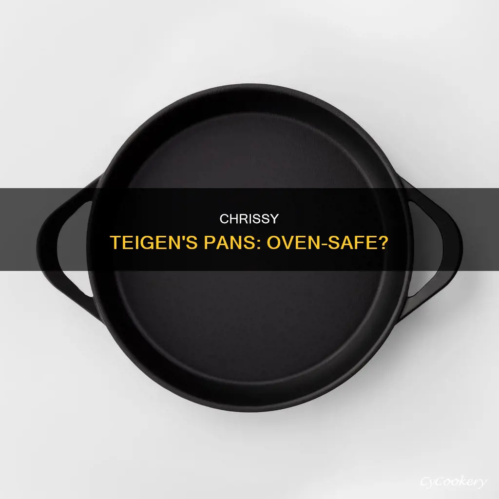 are chrissy teigen pans oven safe