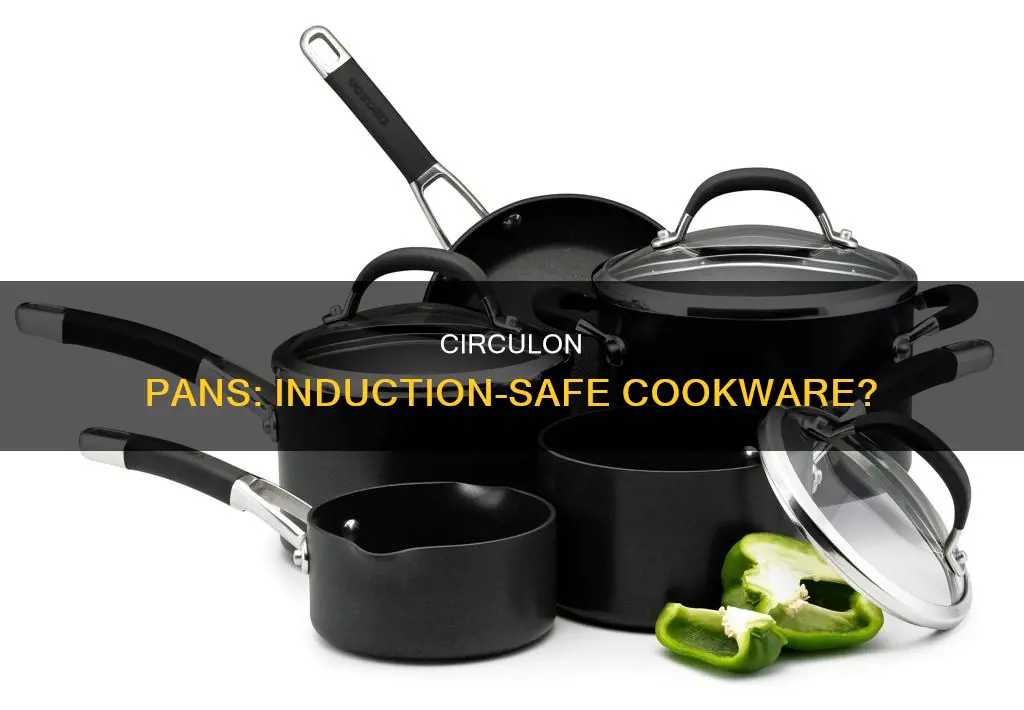 are circulon pans induction safe