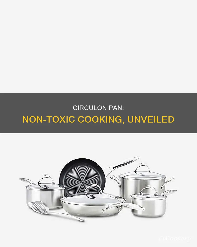 are circulon pans non toxic