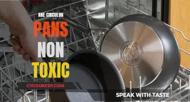 Circulon Pans: Are They Non-Toxic and Safe to Use?