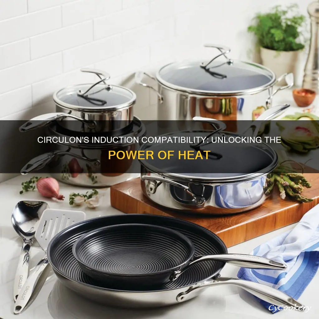 are circulon pans ok for induction hobs