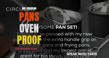 Circulon Pans: Are They Oven-Proof?