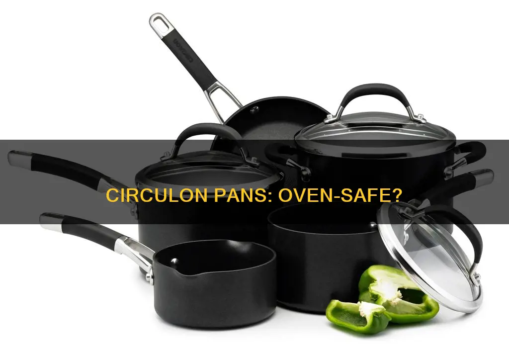 are circulon pans oven safe