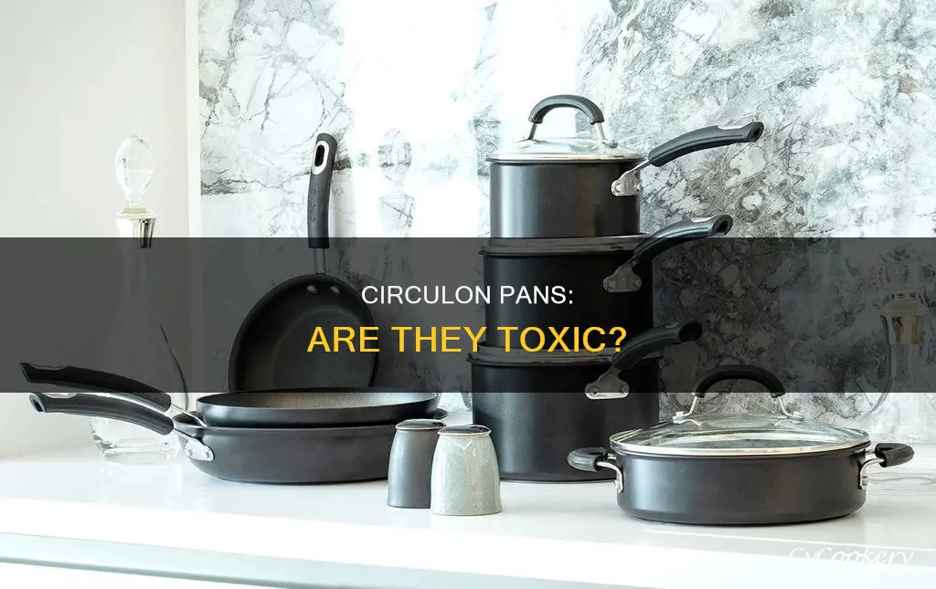 are circulon pans toxic