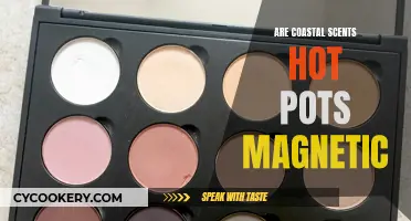 Are Coastal Scents Hot Pots Magnetic? The Truth About These Eye Shadows