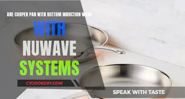 Induction Cookware: Nuwave Systems and Copper Pans Compatibility