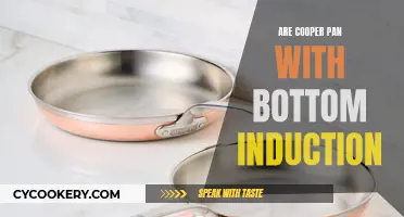 Best Copper Pans for Induction Cooking: Efficient and Stylish