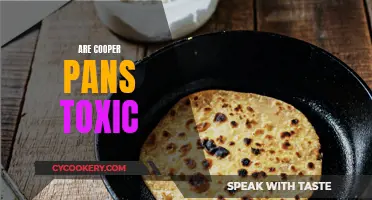 Unveiling the Truth: Are Copper Pans Toxic?