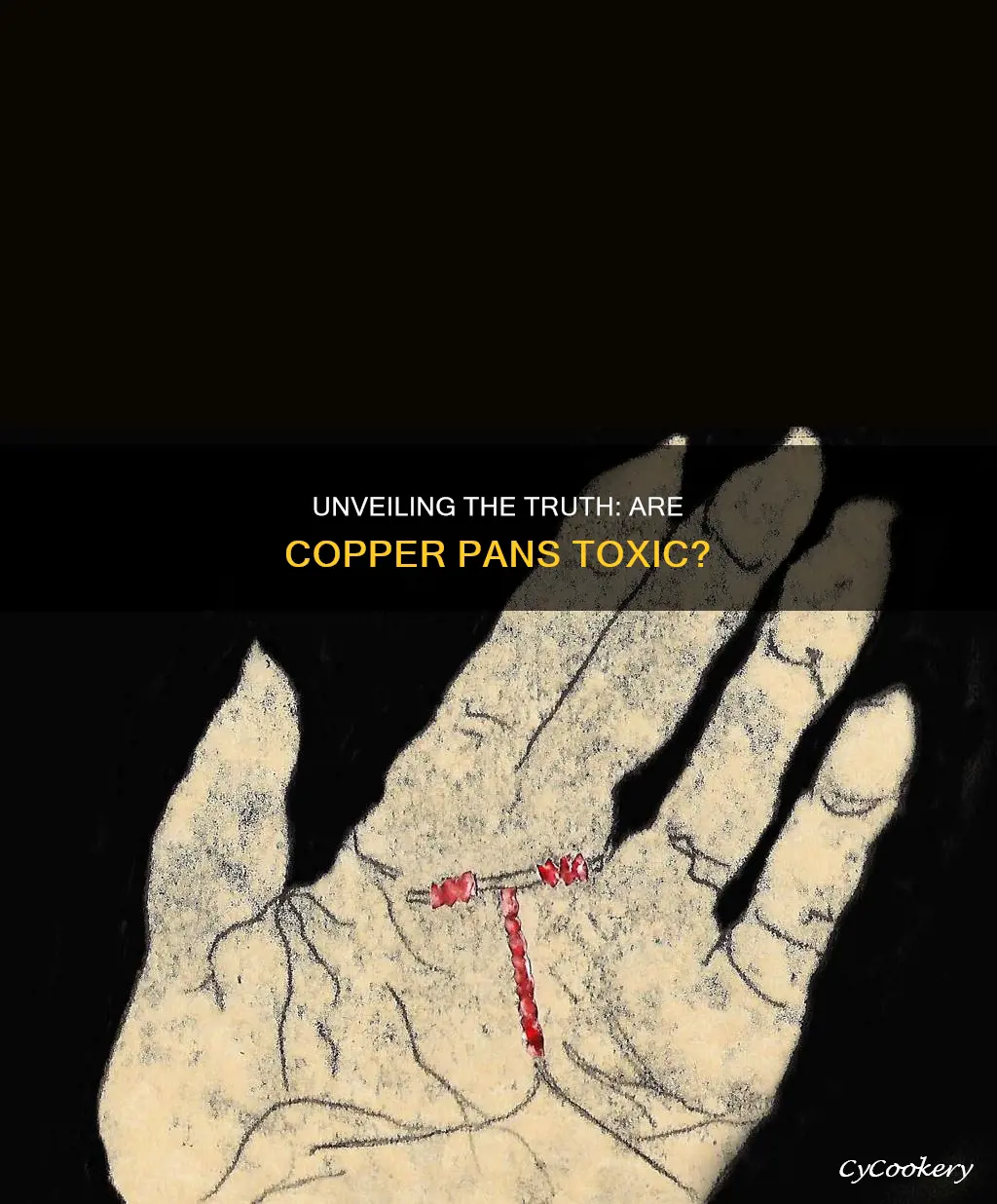 are cooper pans toxic