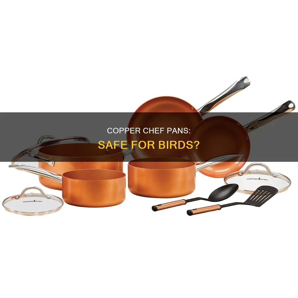 are copper chef pans safe for birds