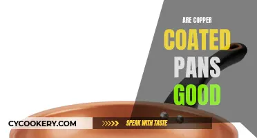 Copper-Coated Pans: Worth the Hype or Just a Fad?