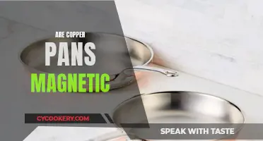 Copper Pans and Magnetism: What's the Attraction?