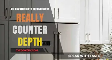 Are Counter Depth Fridges Truly Flush with Counters?