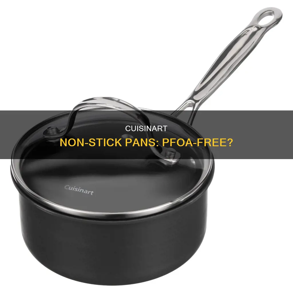 are cuisinart non stick pans pfoa free