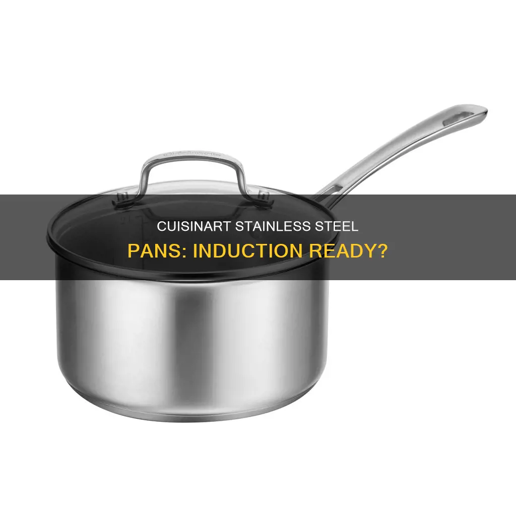 are cuisinart stainless steel pans induction ready