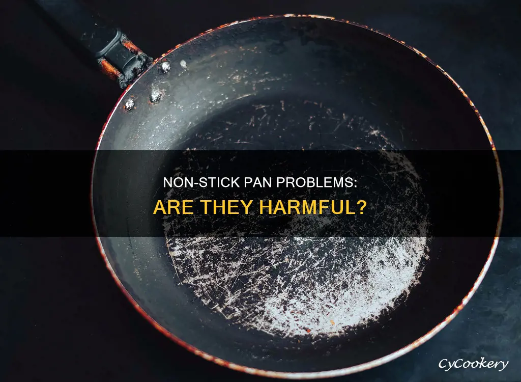 are damaged non stick pans dangerous