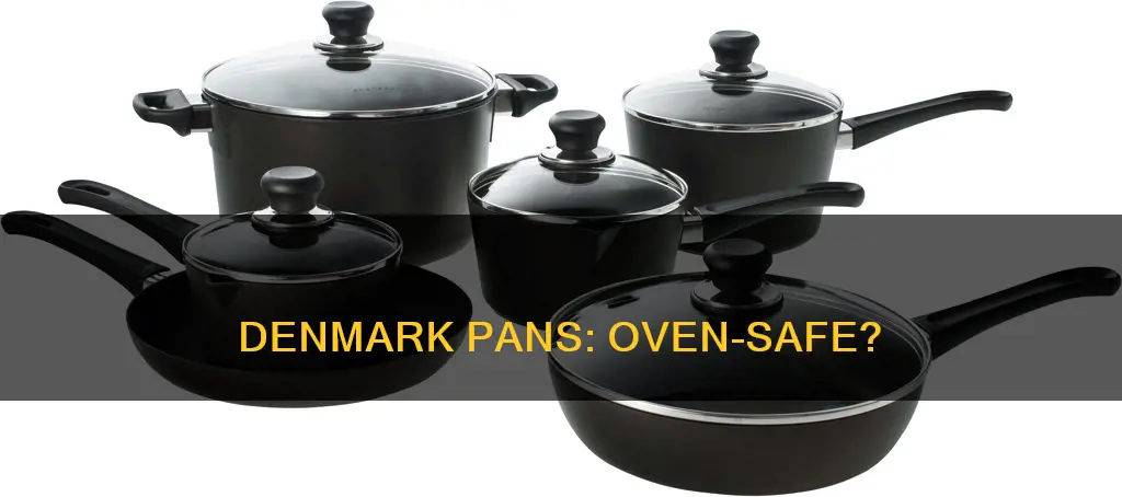 are denmark pans oven safe