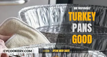 Turkey Pan Pros and Cons: Are Disposables Worth It?