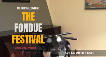 Fondue Festival Fun: Can You Bring Your Dog?