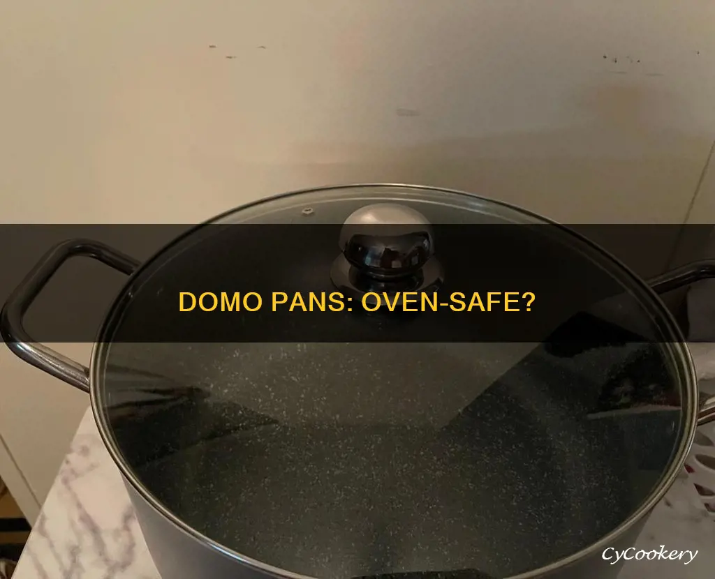 are domo pans oven safe